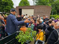 bunch at beth haim  Beth Haim, Ouderkerk aan de Amstel